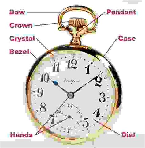 pocket watch case parts diagram|pocket watch anatomy.